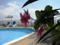 Cyprus_Hotels:Hill_View_Hotel_Apartments_Pissouri